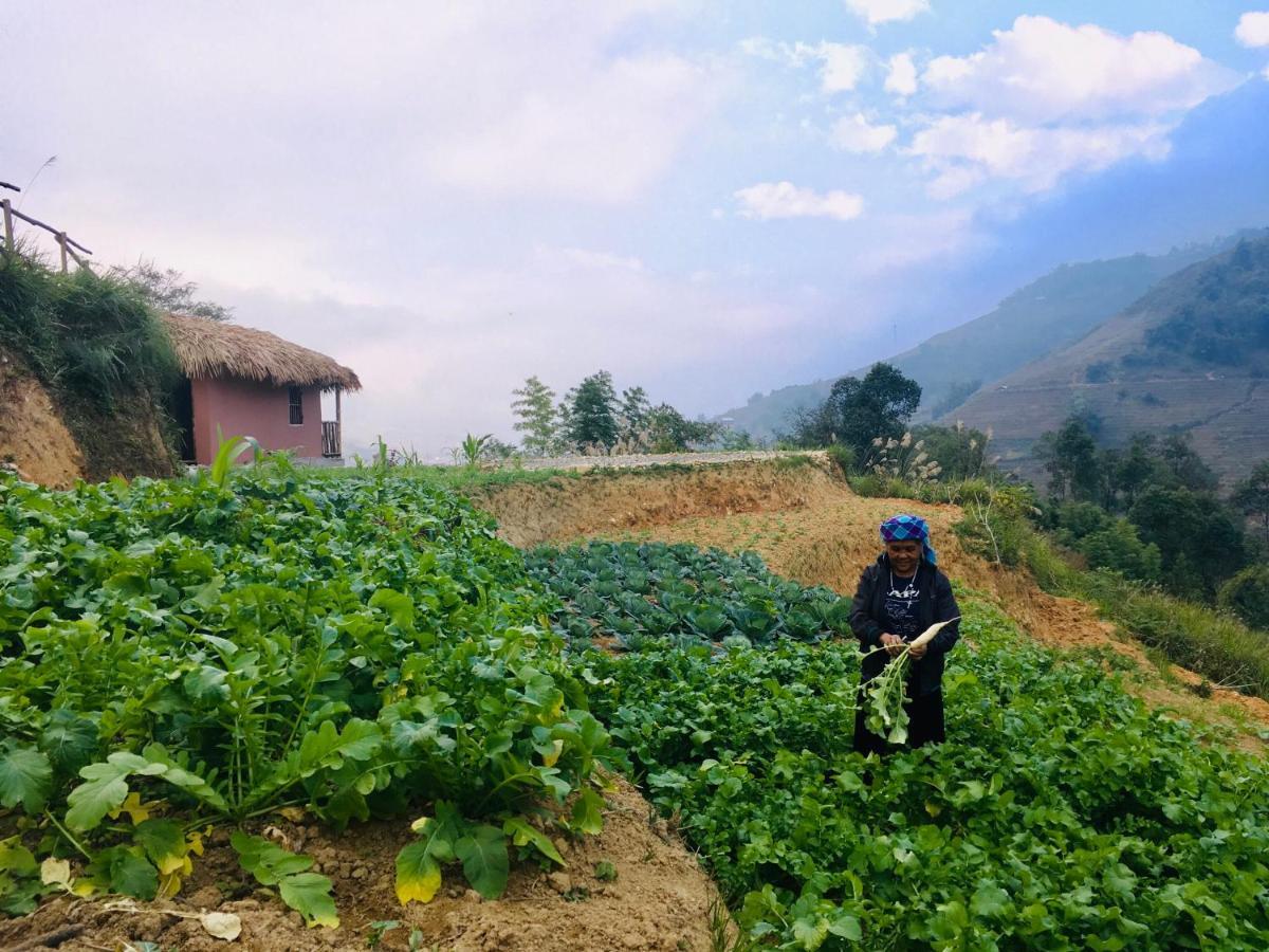 Chapa Farmstay - Mountain Retreat Sa Pa Exterior foto